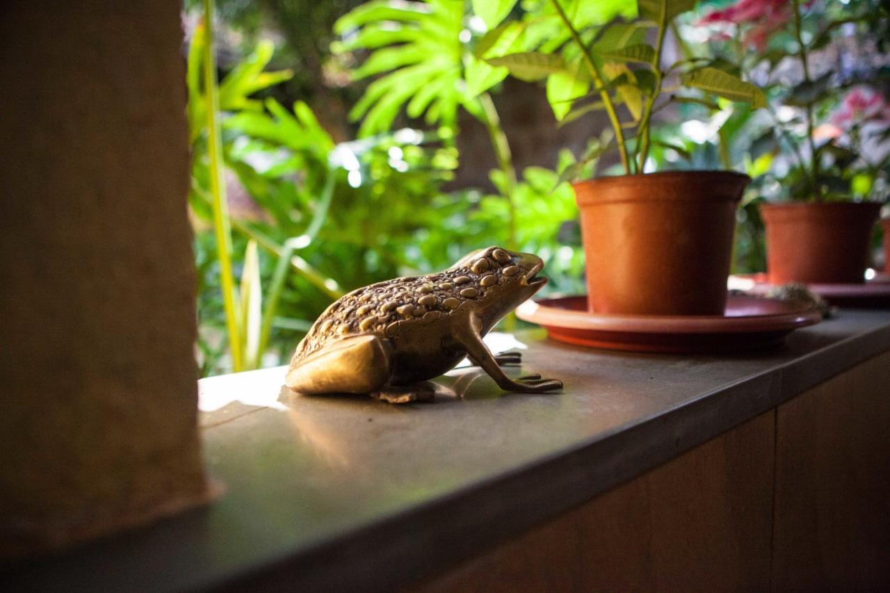 Serendipity House Goa Nerul (Goa) Quarto foto